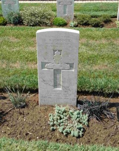 Grave of Gunner Plummer, a 53 FGiled Regiment OP Signaller who fell on the same day as Harry Goslin.