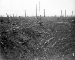 German_trench_Delville_Wood_September_1916